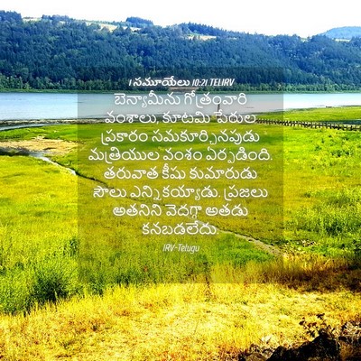 Picture 04 - 1 సమూయేలు 10:21 TELIRV - బెన్యామీను - Bible Verse Picture