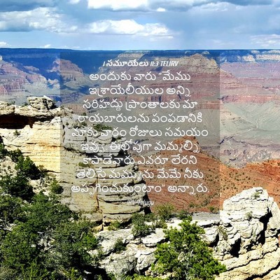 Picture 04 - 1 సమూయేలు 11:3 TELIRV - అందుకు వారు “మేము - Bible Verse Picture