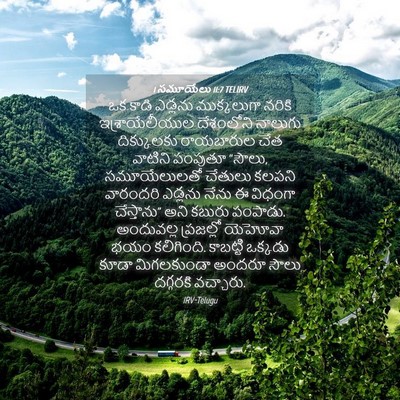 Picture 04 - 1 సమూయేలు 11:7 TELIRV - ఒక కాడి ఎడ్లను - Bible Verse Picture