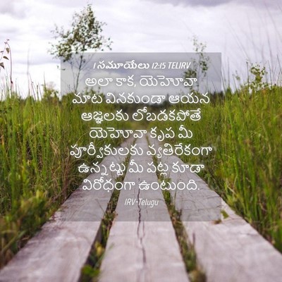Picture 04 - 1 సమూయేలు 12:15 TELIRV - అలా కాక, యెహోవా మాట - Bible Verse Picture