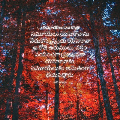 Picture 04 - 1 సమూయేలు 12:18 TELIRV - సమూయేలు యెహోవాను - Bible Verse Picture