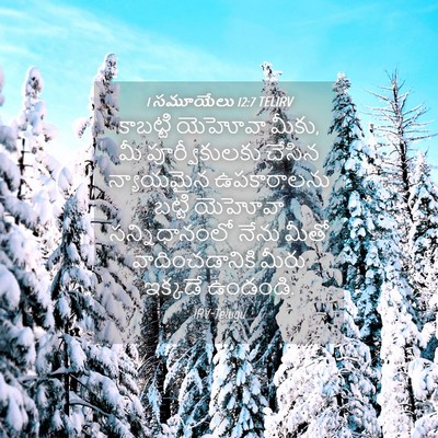 Picture 04 - 1 సమూయేలు 12:7 TELIRV - కాబట్టి యెహోవా - Bible Verse Picture