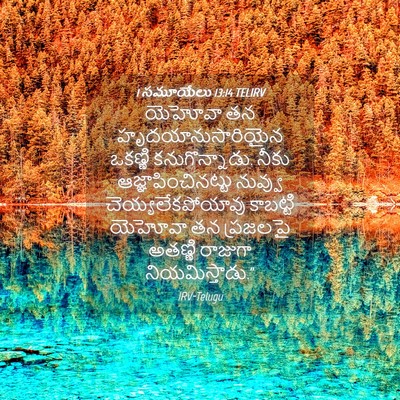 Picture 04 - 1 సమూయేలు 13:14 TELIRV - యెహోవా తన - Bible Verse Picture