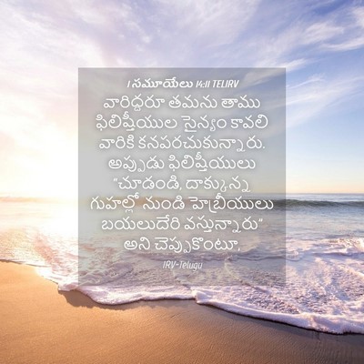 Picture 04 - 1 సమూయేలు 14:11 TELIRV - వారిద్దరూ తమను - Bible Verse Picture