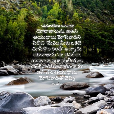 Picture 04 - 1 సమూయేలు 14:12 TELIRV - యోనాతానును, అతని - Bible Verse Picture
