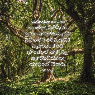 Picture 04 - 1 సమూయేలు 14:22 TELIRV - అంతేకాక, - Bible Verse Picture