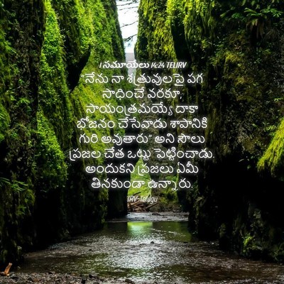 Picture 04 - 1 సమూయేలు 14:24 TELIRV - “నేను నా - Bible Verse Picture