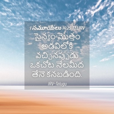 Picture 04 - 1 సమూయేలు 14:25 TELIRV - సైన్యం మొత్తం - Bible Verse Picture