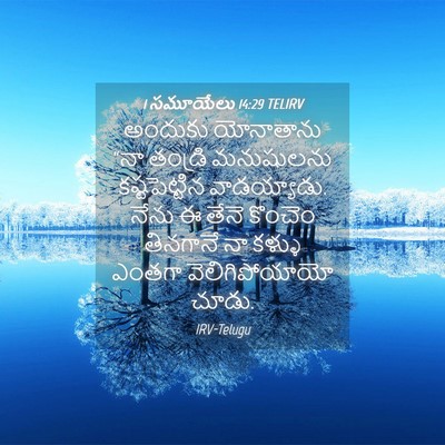 Picture 04 - 1 సమూయేలు 14:29 TELIRV - అందుకు యోనాతాను - Bible Verse Picture