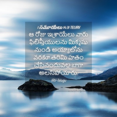 Picture 04 - 1 సమూయేలు 14:31 TELIRV - ఆ రోజు ఇశ్రాయేలు - Bible Verse Picture