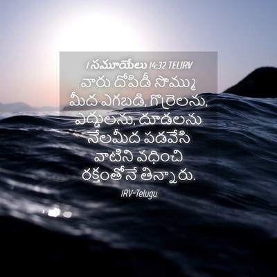 Picture 04 - 1 సమూయేలు 14:32 TELIRV - వారు దోపిడీ - Bible Verse Picture
