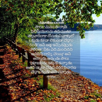 Picture 04 - 1 సమూయేలు 14:36 TELIRV - సౌలు “మనం ఈ రాత్రి - Bible Verse Picture