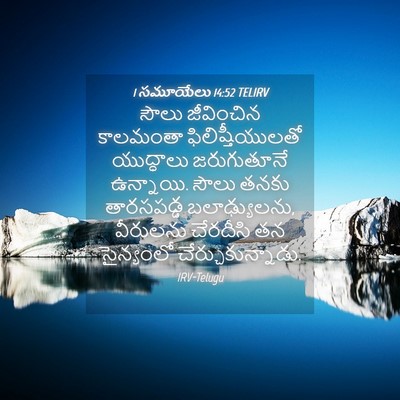Picture 04 - 1 సమూయేలు 14:52 TELIRV - సౌలు జీవించిన - Bible Verse Picture