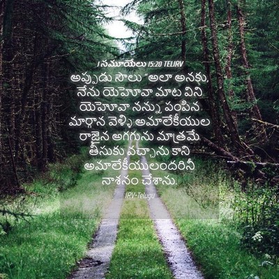 Picture 04 - 1 సమూయేలు 15:20 TELIRV - అప్పుడు సౌలు “అలా - Bible Verse Picture