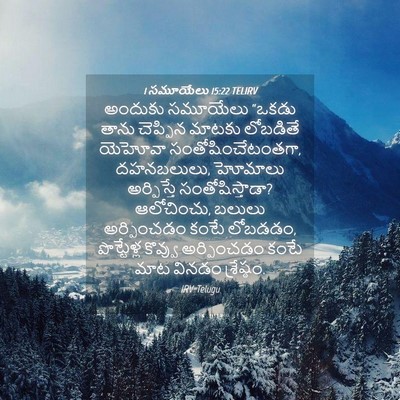 Picture 04 - 1 సమూయేలు 15:22 TELIRV - అందుకు సమూయేలు - Bible Verse Picture
