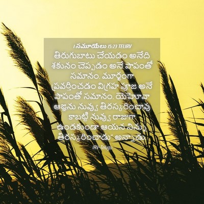 Picture 04 - 1 సమూయేలు 15:23 TELIRV - తిరుగుబాటు చేయడం - Bible Verse Picture