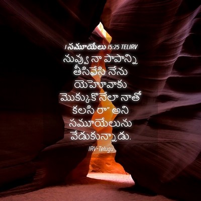 Picture 04 - 1 సమూయేలు 15:25 TELIRV - నువ్వు నా - Bible Verse Picture