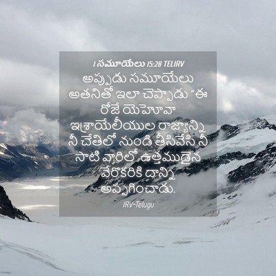 Picture 04 - 1 సమూయేలు 15:28 TELIRV - అప్పుడు సమూయేలు - Bible Verse Picture