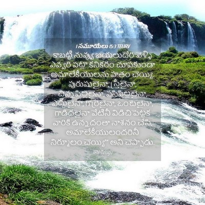 Picture 04 - 1 సమూయేలు 15:3 TELIRV - కాబట్టి నువ్వు - Bible Verse Picture