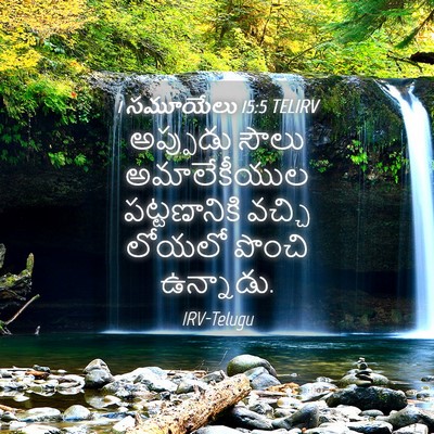 Picture 04 - 1 సమూయేలు 15:5 TELIRV - అప్పుడు సౌలు - Bible Verse Picture