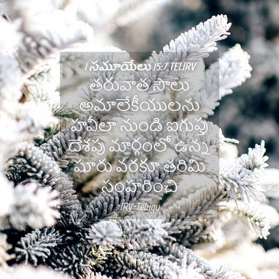 Picture 04 - 1 సమూయేలు 15:7 TELIRV - తరువాత సౌలు - Bible Verse Picture