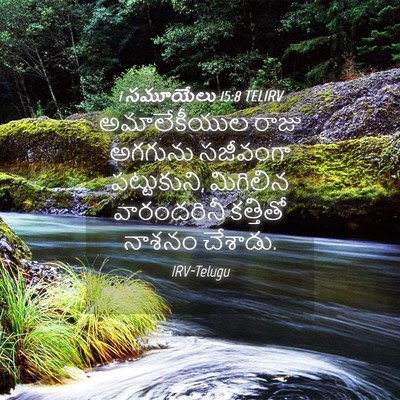 Picture 04 - 1 సమూయేలు 15:8 TELIRV - అమాలేకీయుల రాజు - Bible Verse Picture