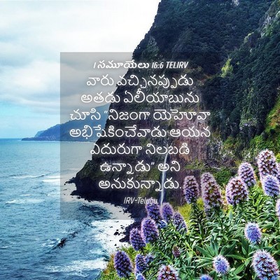 Picture 04 - 1 సమూయేలు 16:6 TELIRV - వారు వచ్చినప్పుడు - Bible Verse Picture