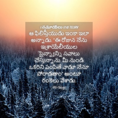 Picture 04 - 1 సమూయేలు 17:10 TELIRV - ఆ ఫిలిష్తీయుడు - Bible Verse Picture