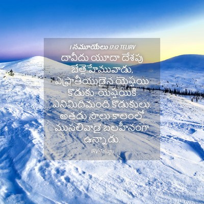 Picture 04 - 1 సమూయేలు 17:12 TELIRV - దావీదు యూదా దేశపు - Bible Verse Picture