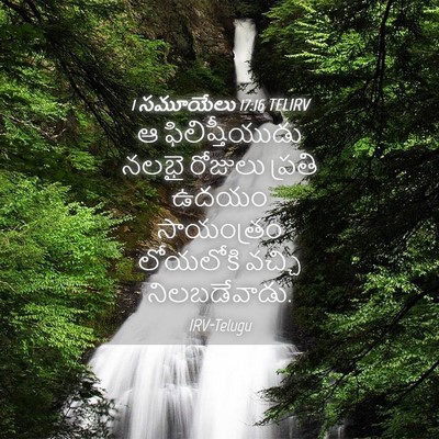 Picture 04 - 1 సమూయేలు 17:16 TELIRV - ఆ ఫిలిష్తీయుడు - Bible Verse Picture