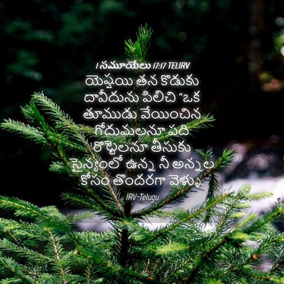 Picture 04 - 1 సమూయేలు 17:17 TELIRV - యెష్షయి తన కొడుకు - Bible Verse Picture