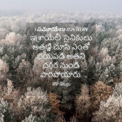 Picture 04 - 1 సమూయేలు 17:24 TELIRV - ఇశ్రాయేలీ - Bible Verse Picture