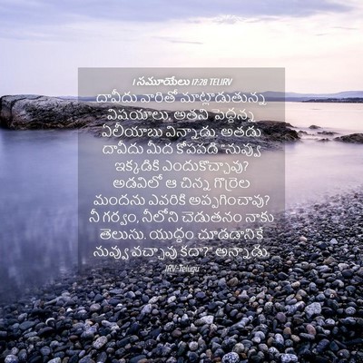 Picture 04 - 1 సమూయేలు 17:28 TELIRV - దావీదు వారితో - Bible Verse Picture