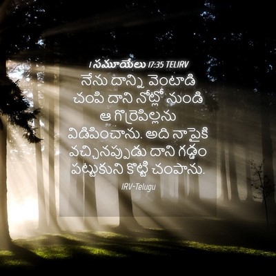 Picture 04 - 1 సమూయేలు 17:35 TELIRV - నేను దాన్ని - Bible Verse Picture