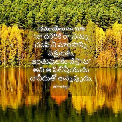 Picture 04 - 1 సమూయేలు 17:44 TELIRV - “నా దగ్గరికి రా, - Bible Verse Picture