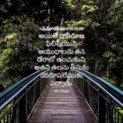 Picture 04 - 1 సమూయేలు 17:54 TELIRV - అయితే దావీదు ఆ - Bible Verse Picture
