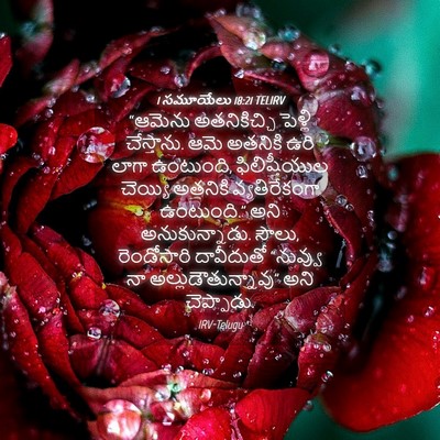 Picture 04 - 1 సమూయేలు 18:21 TELIRV - “ఆమెను అతనికిచ్చి - Bible Verse Picture