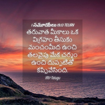 Picture 04 - 1 సమూయేలు 19:13 TELIRV - తరువాత మీకాలు ఒక - Bible Verse Picture