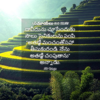 Picture 04 - 1 సమూయేలు 19:15 TELIRV - దావీదును - Bible Verse Picture