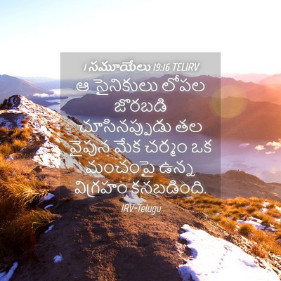 Picture 04 - 1 సమూయేలు 19:16 TELIRV - ఆ సైనికులు లోపల - Bible Verse Picture