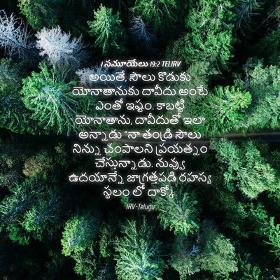 Picture 04 - 1 సమూయేలు 19:2 TELIRV - అయితే, సౌలు కొడుకు - Bible Verse Picture
