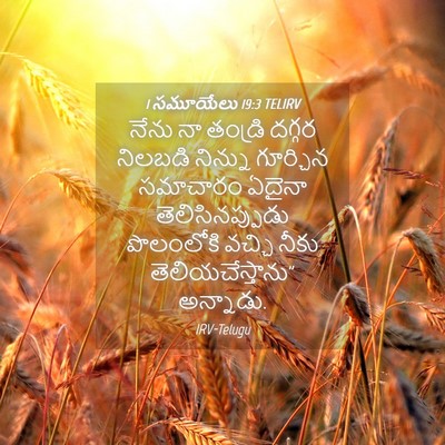 Picture 04 - 1 సమూయేలు 19:3 TELIRV - నేను నా తండ్రి - Bible Verse Picture