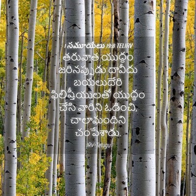 Picture 04 - 1 సమూయేలు 19:8 TELIRV - తరువాత యుద్ధం - Bible Verse Picture