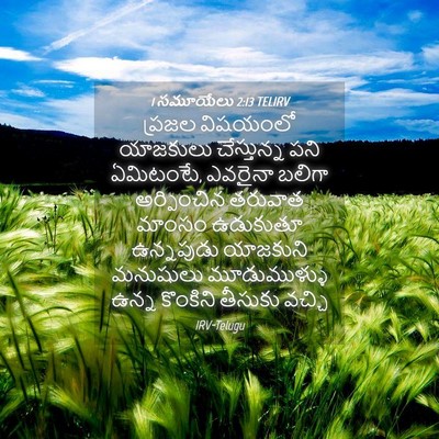 Picture 04 - 1 సమూయేలు 2:13 TELIRV - ప్రజల విషయంలో - Bible Verse Picture