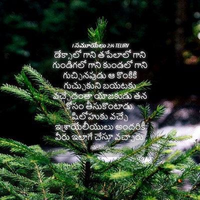 Picture 04 - 1 సమూయేలు 2:14 TELIRV - డేక్సాలో గాని - Bible Verse Picture