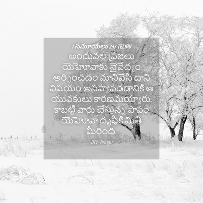 Picture 04 - 1 సమూయేలు 2:17 TELIRV - అందువల్ల ప్రజలు - Bible Verse Picture