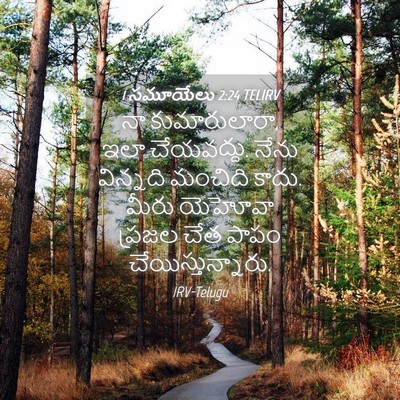 Picture 04 - 1 సమూయేలు 2:24 TELIRV - నా కుమారులారా, ఇలా - Bible Verse Picture
