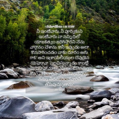 Picture 04 - 1 సమూయేలు 2:30 TELIRV - నీ ఇంటివారు, నీ - Bible Verse Picture