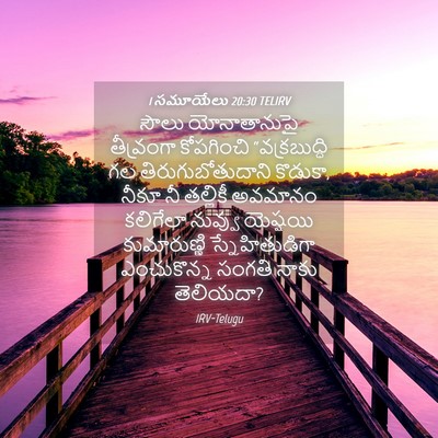 Picture 04 - 1 సమూయేలు 20:30 TELIRV - సౌలు యోనాతానుపై - Bible Verse Picture