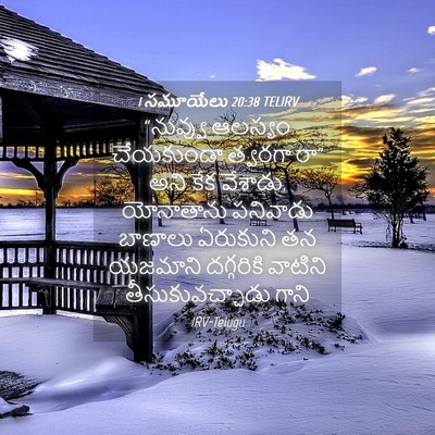 Picture 04 - 1 సమూయేలు 20:38 TELIRV - “నువ్వు ఆలస్యం - Bible Verse Picture